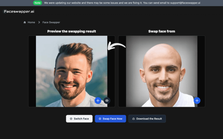 FaceHub Faceswap Photos Videos And GIFs Quickly AI Tool Selection